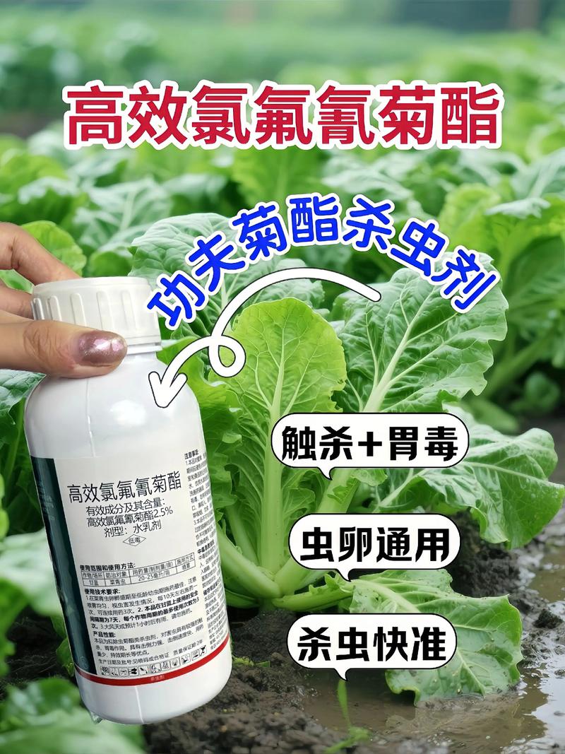 万州代生中心:农药对供卵代生妈妈的危害